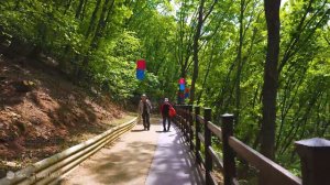 군포 철쭉축제 2024 역대급 개장! 핑크 레드한 철쭉동산, 4월 20일-28일, 초막골생태공원, 봄꽃여행, 군포 가볼만한 곳, 당일치기 여행, 서울트래블워커.