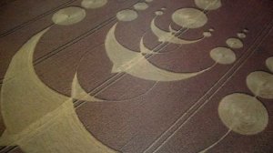 круги на полях