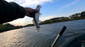 Джиг спиннинг на степной речке, поиск судака с помощью сложной техники.