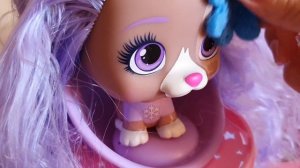 А вы любите VIP PETS? VIP PETS мои друзья