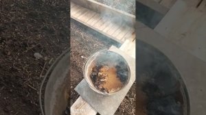 #Табачная_дымовая_шашка своими руками—дешево и эффективно! | Дезинфекция теплицы