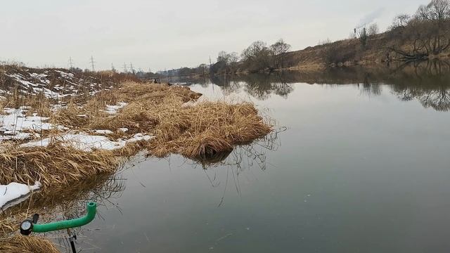 Фидер в компании друзей смотреть онлайн