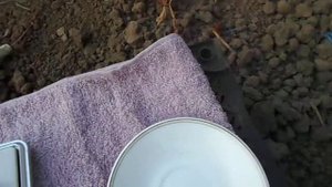 виноград Продюсер