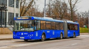 Автобус 59 (СТАРОЕ)