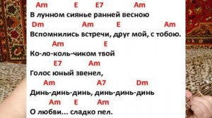 Поём под гитару романс "В лунном сиянии..."