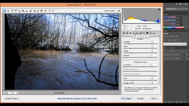 Tutorial Adobe photoshop CS6 -- Importar y editar imagenes Raw [Tutorial en español] .NEF смотреть онлайн