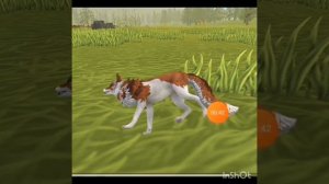 Идеи для обновления WildCraft Ч.О!!