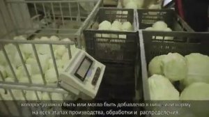 Введение в анализ опасности и критические контрольные точки (HACCP )1 часть.