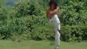 Джеки Чан   стиль пьяного мастера