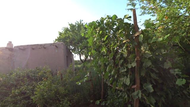 93 9290737 Даре буйида зудлик бн Ховли Жой сотилади.Дача смотреть онлайн