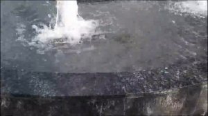 Красивые цветы.Лето.Ландшафтный дизайн участка. Landscaping ideas.цветы на даче