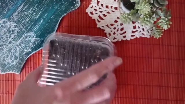 Земляника из семян. Как вырастить рассаду земляники.