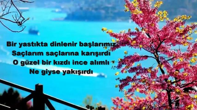 Anış Şiir: Oktay Rifat HOROZCU - Seslendiren: Cemal ELMAS