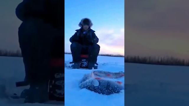 рыбалка в Якутии #якутия #клевая #fishing #рыбалка #поймать #carpfishing #fish #клеваярыбалка