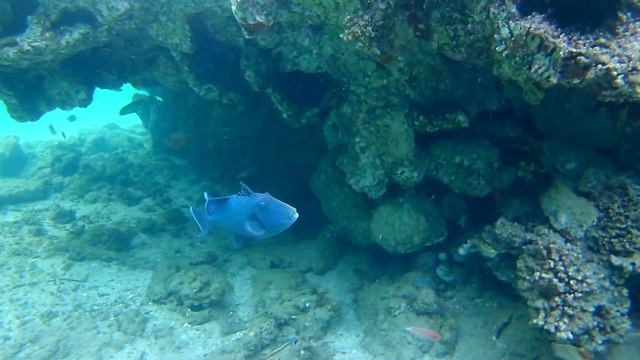 Nabq bay 4 смотреть онлайн