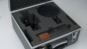 Профессиональный USB интерфейс Antelope Audio Zen Q и моделирующий микрофон Edge Duo