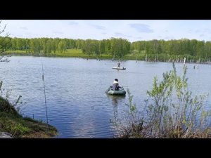 Ловля ОКУНЯ на поверхностные приманки. Холодный май