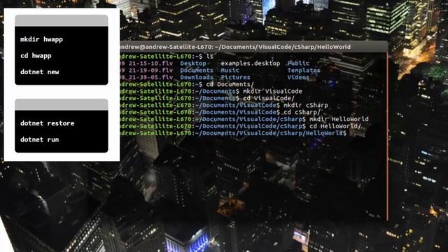 Installing Visual Code [ C# ] On Ubuntu 16.04.1 [ Dotnet Core ]