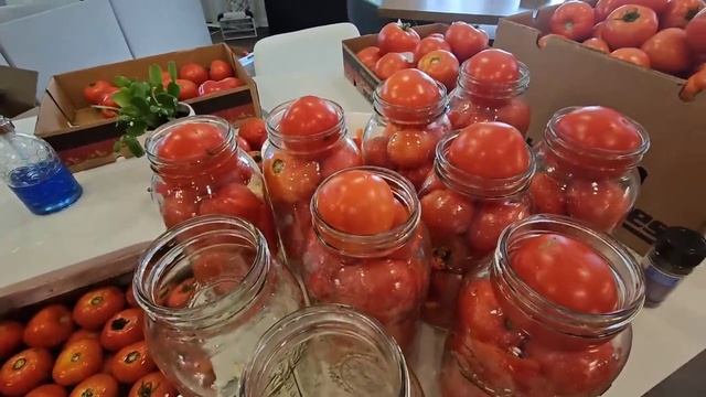 Все просят этот рецепт/Вкуснейшие помидоры на зиму/ Секретный ингредиент /Раскрываю тайну/Влог