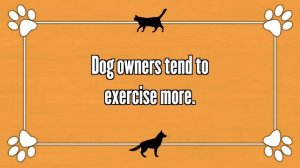 Cat Owner Life VS Dog Owner Life