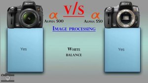 Sony Alpha 500 vs Sony Alpha 550