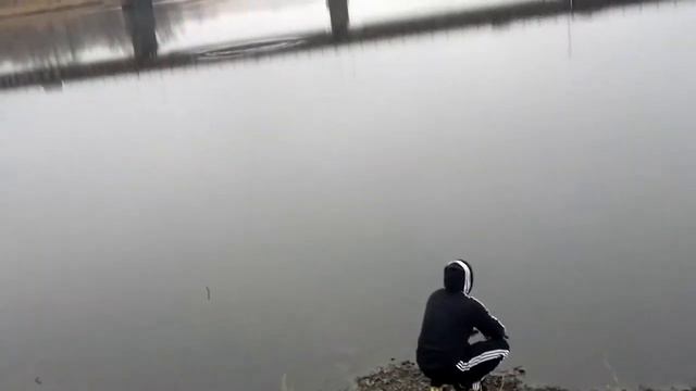 крокодил не ловится не растет кокос смотреть онлайн