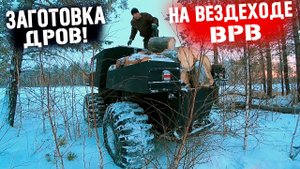 ЗАГОТОВКА ДРОВ НА ВЕЗДЕХОДЕ _ВРВ_ ЖИЗНЬ В ДЕРЕВНЕ!