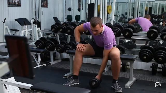 Концентрированное сгибание на бицепс смотреть онлайн