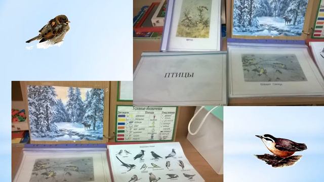 Покормите птиц зимой (Копылова Е.В.) смотреть онлайн