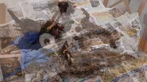 НОВЫЕ ПИОНЫ 2022 года - ПОПОЛНЯЮ КОЛЛЕКЦИЮ В МАРТЕ! ЧТО С НИМИ ДЕЛАТЬ?