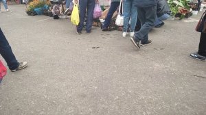 Наводим порядок в саду. Поездка на рынок . Посадили кедр.