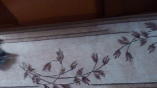 Маверик смотреть онлайн