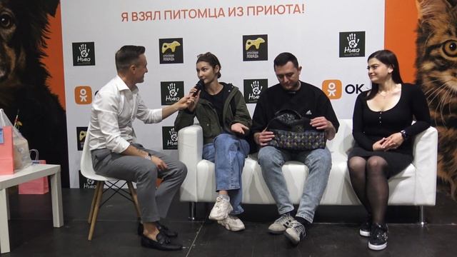 В Краснодаре прошёл фестиваль бездомных животных Более 100 кошек и собак получили шанс найти хозяев смотреть онлайн