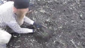 Вспашка огородов мотоблоком.   Юрий Пахмутов.