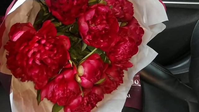 БОРДОВЫЕ ПИОНЫ С ДОСТАВКОЙ ДНЕПР