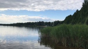 36. Озеро Долгое. Дмитровский район.