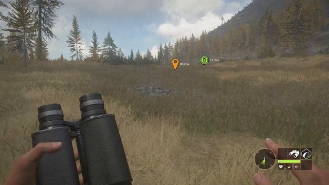 Охота на суперкойота в theHunter Call of the Wild