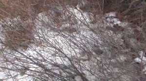 Путешествие на Байкал / отдых и рыбалка на хариуса/ апрель 2022