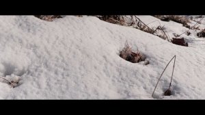 Canon 250D 4K video