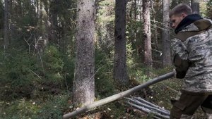 ПОСТРОИЛ ШАЛАШ В ЛЕСУ! Одиночный кемпинг в ТАЙГЕ! ВЫЖИВАНИЕ в лесу БУШКРАФТ