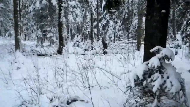 Жерлицы на Налима. Осенняя Ладога смотреть онлайн