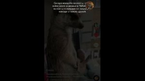 как вернуть акк в ТТ? ответ здесь!