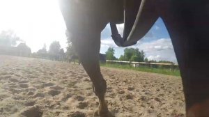 Несколько фактов о соревнованиях по конкуру. Конная школа Эклектика