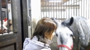 Конюшенный двор и гусь Мартин/Парк - Заповедник Коломенское/Часть 1.