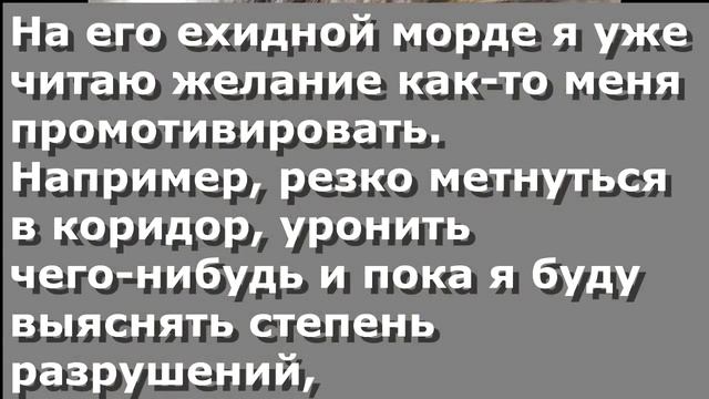 Чербелоидный подкаст #21 - Игра с котом в "Чекпойнт Чарли" смотреть онлайн