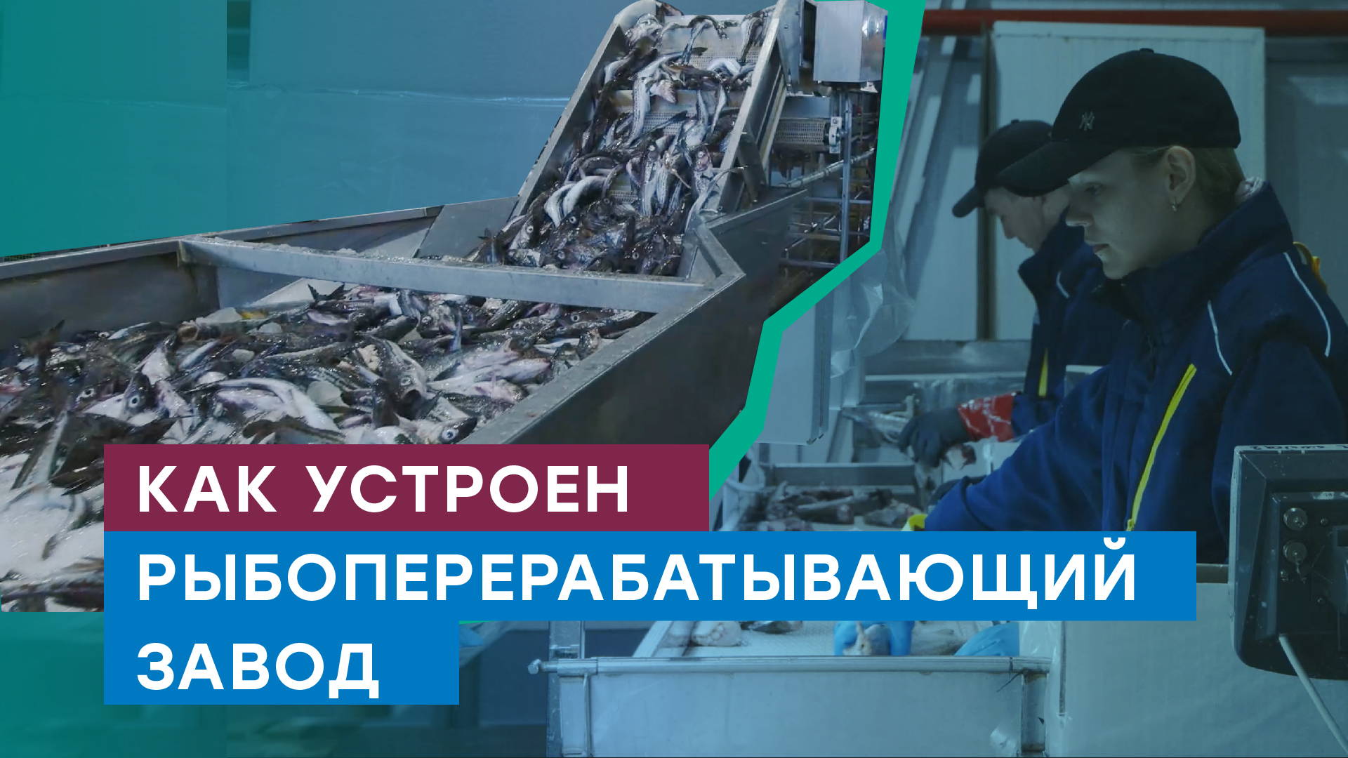 Рыбное место — в Приморском крае подключен к газу завод по переработке рыбы