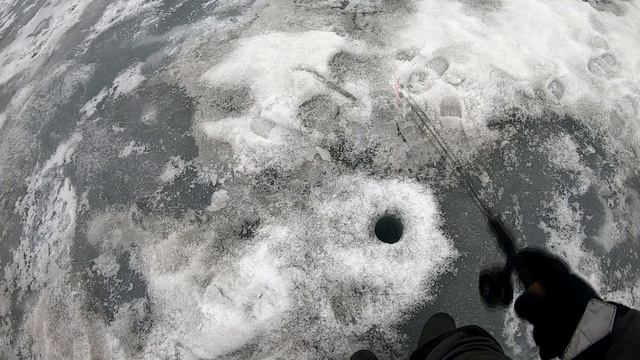 Апрель- время ловить щук! Ловля на вибы (Оз. Смолино) смотреть онлайн