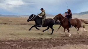 Скачки Верх Аскиз 23 сентября 2023