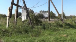 Никита Колесников пробивается вовнутрь дома своего через  густые заросли . 22. 08. 2016