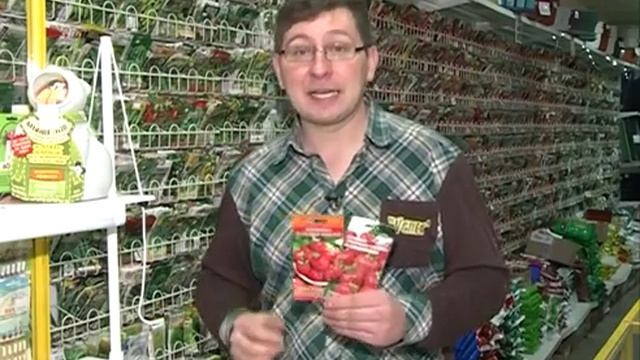 Земляника: описание сортов. Земляника из семян